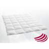 Dauny Media City Clima Duvet