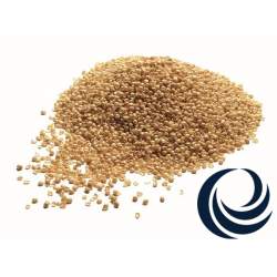 Billerbeck Millet