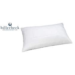Billerbeck Tencel Coussin 65 x 100 cm