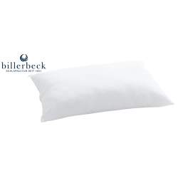 Billerbeck Clivia Pillow