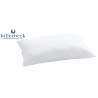 Billerbeck Clivia Coussin