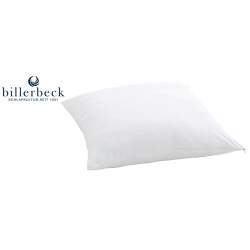 Billerbeck Clivia Pillow