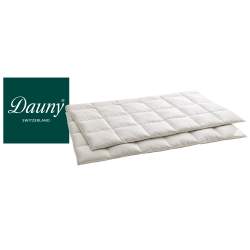 Dauny Piumino Eider Caro Light Satin Champagne