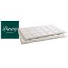 Dauny Bettdecke Eider Caro Light Satin Champagner