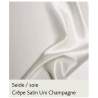 Raso tinta unita Champagne