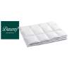 Dauny Eider Caro Light Batist-Baumwollbettdecke