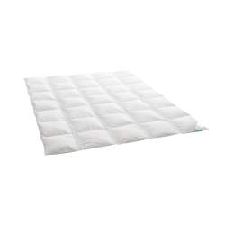 Dauny Daunenduvet Clima Medium