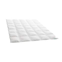 Dauny Daunenduvet Clima Light