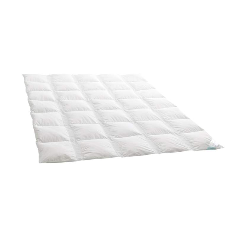 Dauny Piumino Clima Light