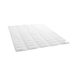 Dauny Clima Superlight Duvet