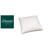 Dauny Noble Cuscino 65 x 65 cm