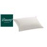 Dauny Pillow Eider Soft Plus Plain Champagne Satin 50 x 70 cm