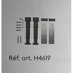 H4619