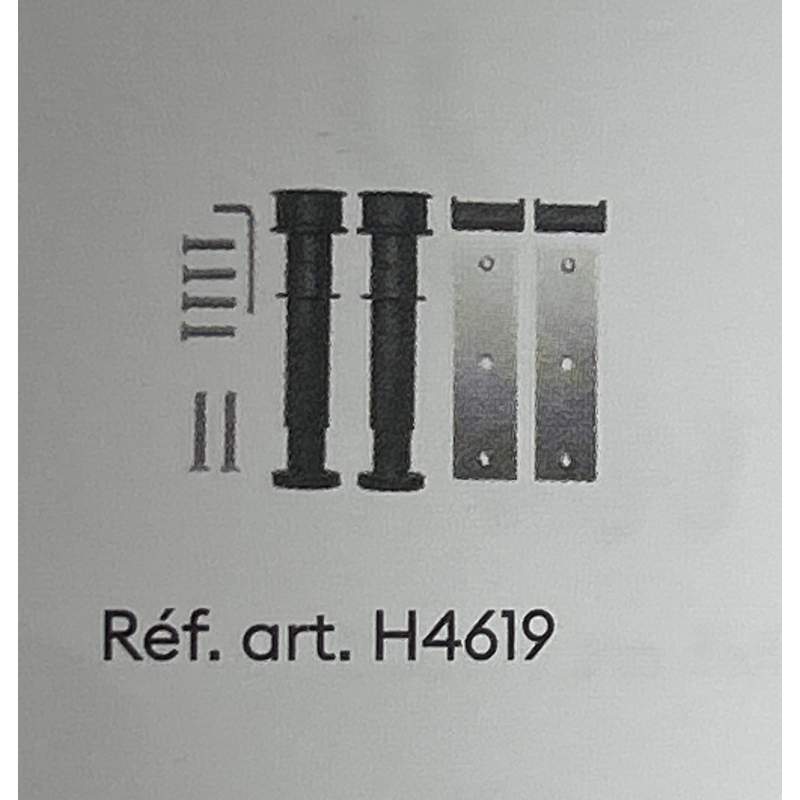 H4619