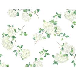 Schlossberg Hortensia Blanc