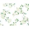 Schlossberg Hortensia Blanc