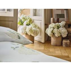 Schlossberg Hortensia Blanc