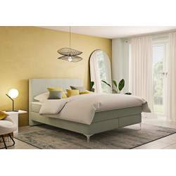 Bico Basics BoxspringBett Classic Compact