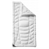 Billerbeck Climavision Auflage
