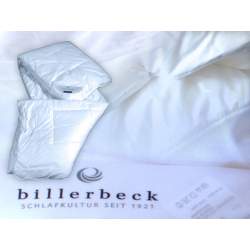 Duvet Lina Uno Bambou antiallergique de billerbeck