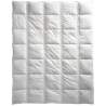 Billerbeck Climabalance light duvet
