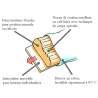 Billerbeck Vitalind Latexi Kissen
