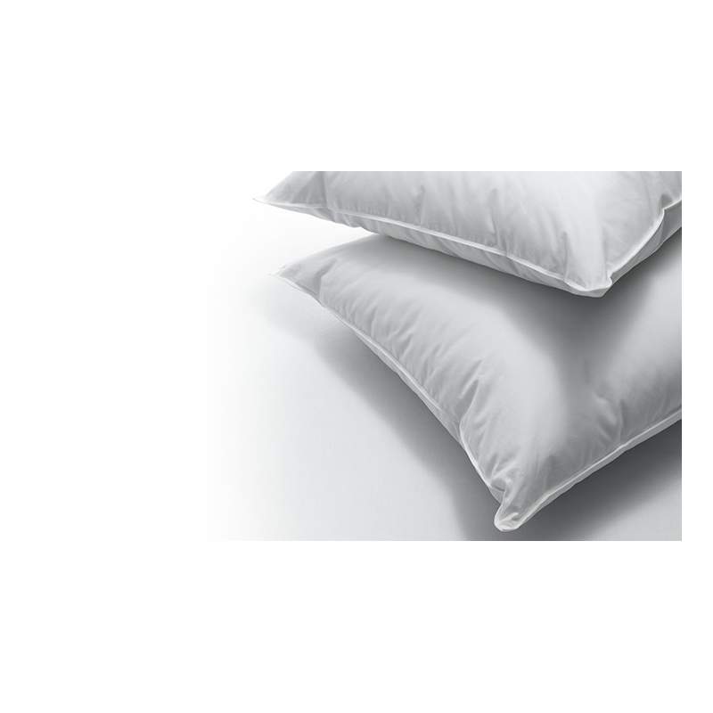 Dauny Soft Plus pillow