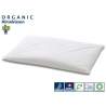 Billerbeck Organic Hirsekissen