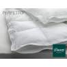 Dauny Perfetto Duvet