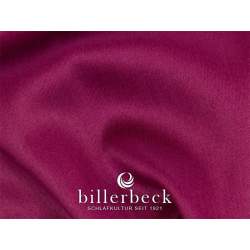 Billerbeck Fuchsia 4010