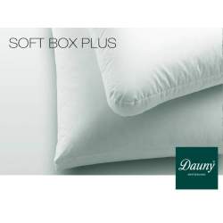 Dauny Soft Box Plus Pillow