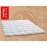 Billerbeck Swiss Dream Caro Medium Duvet