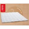 Billerbeck Swiss Dream Caro Light Duvet