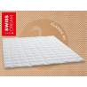 Billerbeck Swiss Dream Caro Superlight Duvet