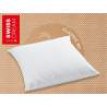 Billerbeck Swiss Dream Pillow Oreillers