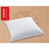 Billerbeck Swiss Dream Soft Pillow Oreillers