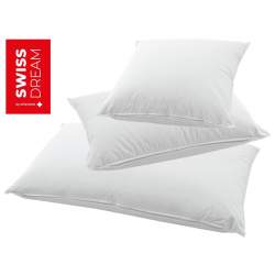 Billerbeck Swiss Dream Nature Pillow Cuscini