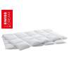 Billerbeck Swiss Dream Caro Cosy Duvet