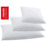 Billerbeck Swiss Dream Pillow Oreillers