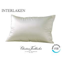 Interlaken Pillow with 3 compartments Silk