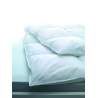 Billerbeck Luzern 100 Kassetten-Duvet