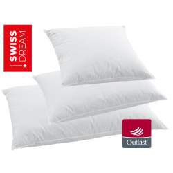 Billerbeck Swiss Dream Clima Soft Pillow Cuscini CLC 90