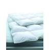 Billerbeck Bern 100 Caro-Duvet 