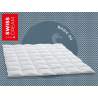 Billerbeck Swiss Dream Caro Medium Duvet