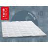 Billerbeck Swiss Dream Caro Light Duvet