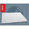 Billerbeck Swiss Dream Caro Superlight Duvet