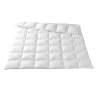 King Eider Down Paneled Quilt