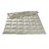 King Eider Down Paneled Quilt Pure Silk Paisley