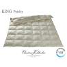 King Eider Down Paneled Quilt Pure Silk Paisley