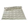 Queen Eider Leichte Kassettendecke Pure Seide Paisley